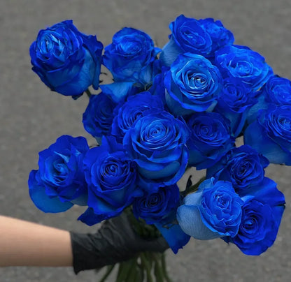 Blue Climbing Rose Seeds 💙 20 gram